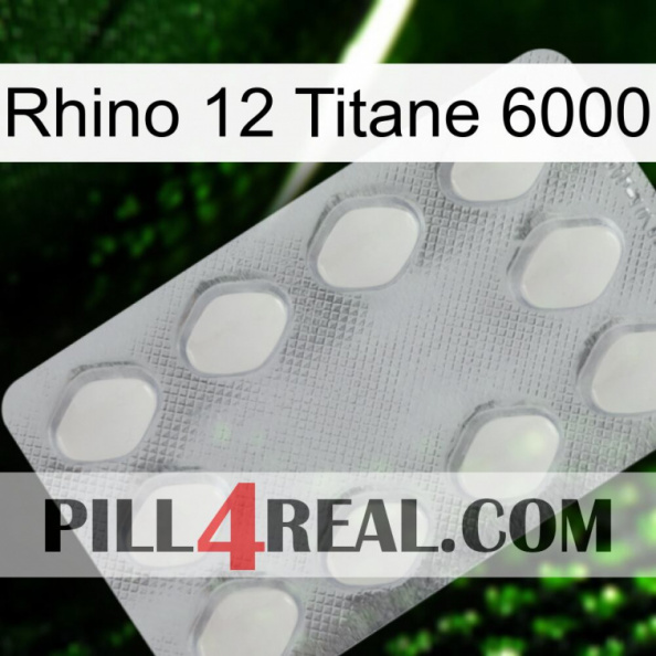 Rhino 12 Titanium 6000 16.jpg